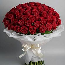 Букет 101 Красная роза Блэк Мэджик #REPLACE_PRED# Кетово