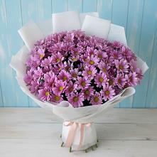 Букет цветов из:  Хризантемы в Кетово