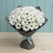 Букет цветов из:  Хризантемы #REPLACE_PRED# Кетово
