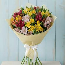Букет цветов из:  Альстромерии #REPLACE_PRED# Кетово
