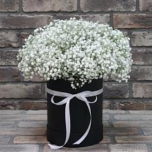 Цветочная композиция из Гипсофила в шляпной коробке в Кетово